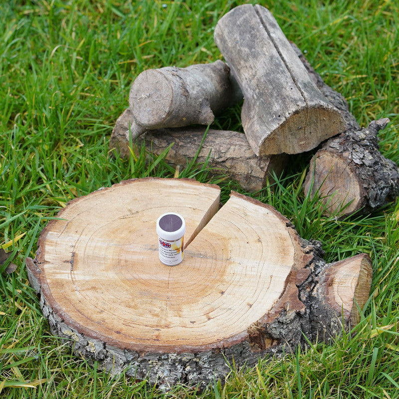 Allumettes étanches / Survie. BCB.