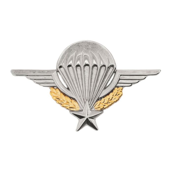 Brevet Para avec attache Pin's. Brillant.